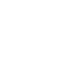 LogoLVM